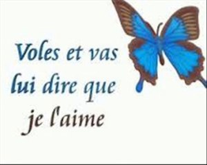 Chanson EMMENE MOI DANSER CE SOIR