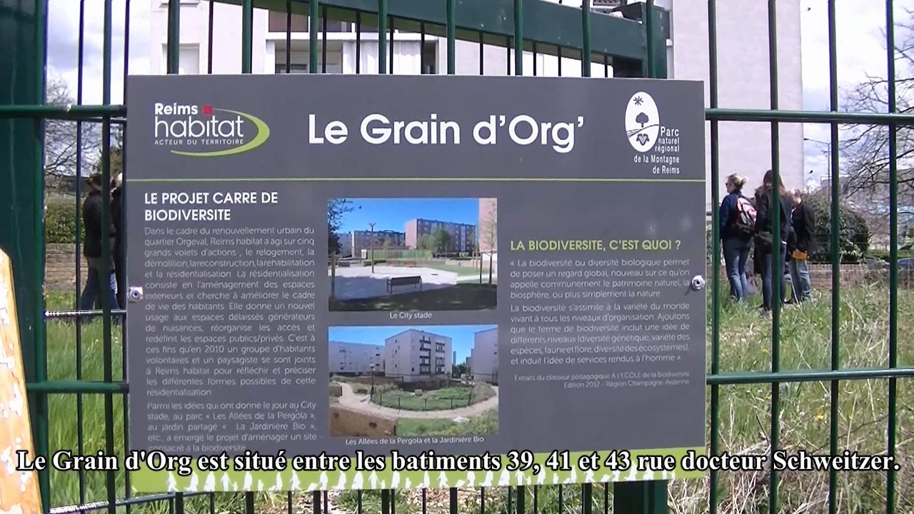 Clip Graind'org