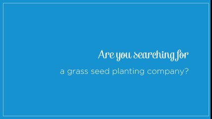 Modern Process of Planting Grass Seed
