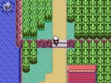 Let's Play Pokémon Sapphire Part 19: Winona Ryder