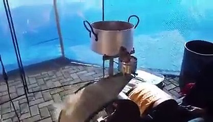 BREAD new MACHINE BAKING