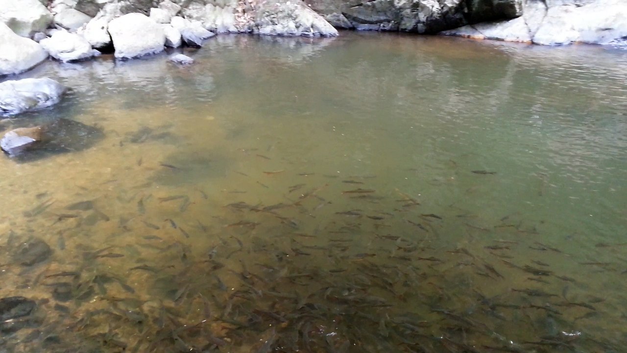 Chute d'eau 2