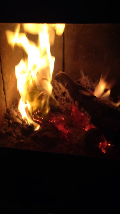 fire reverse