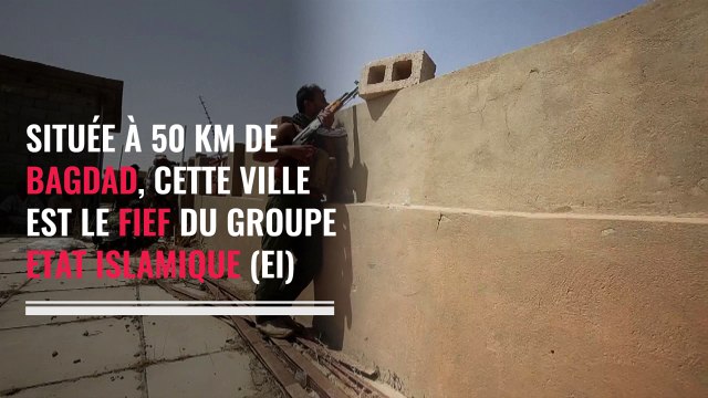 Irak : comment l'armée tente de reprendre Falloujah des mains de Daech