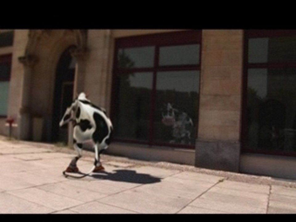 vache qui dance