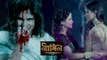 Shivanya and Sesha Kill Nevla Kabir To Save Ritik | Naagin | Colors