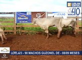 LOTE J-23 - 2° LEILÃO VIRTUAL MARCA 40 - 06/04/2014