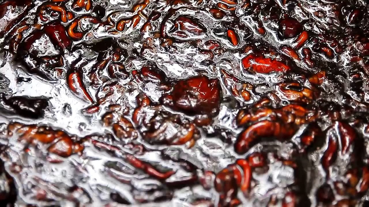 หอมแผ่นดิน ตอน วิถีเเห่งปัญญา