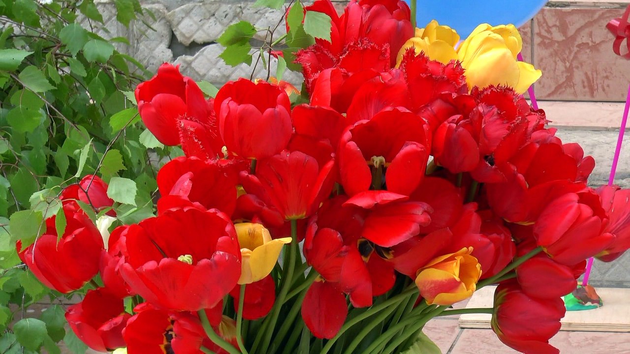 Последний Звонок 2015