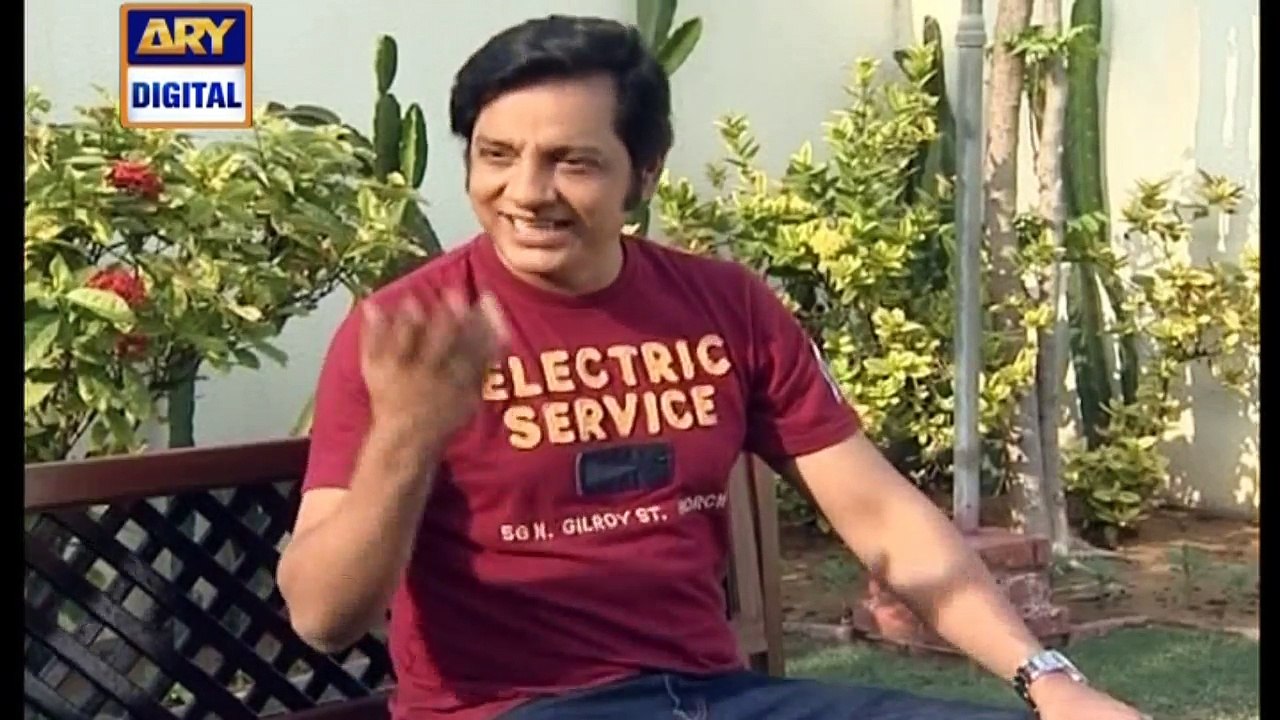 Bulbulay Episode 194 on Ary Digital in High Qua...