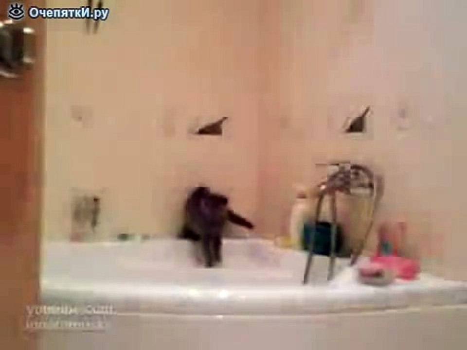 Случай в ванной :() top funny