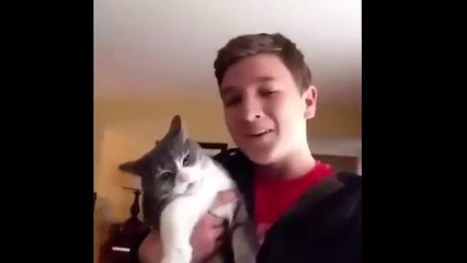 Những khoảnh khắc hài hước động vật  2015