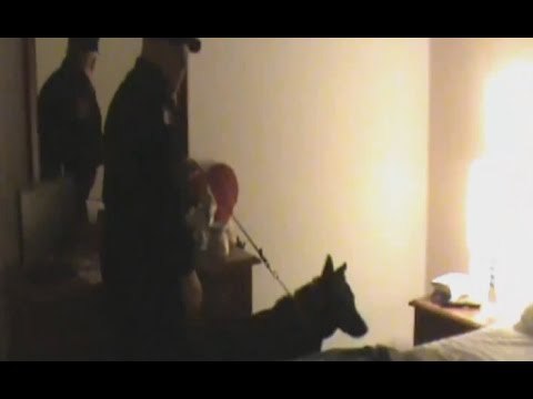 Brindisi - Droga ed estorsioni, 10 arresti (25.05.16)