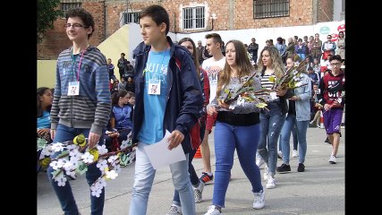 FIESTA DE MARÍA AUXILIADORA