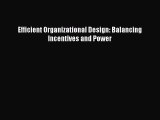 Read Efficient Organizational Design: Balancing Incentives and Power PDF Online