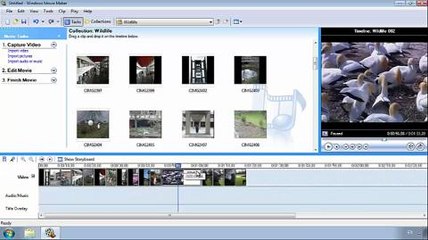 Make a holiday movie with Windows Movie Maker
