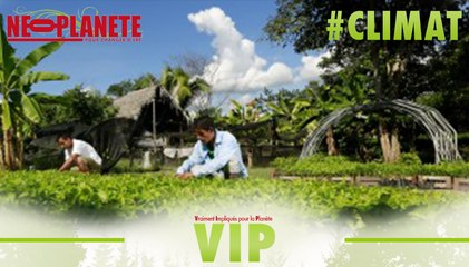 [VIP] Groupe hôtelier AccorHotel : comment s‘adapter à la crise écologique ?