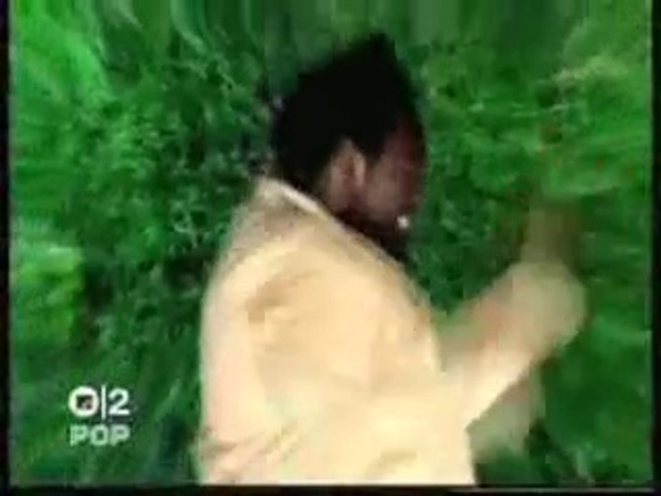 You see the trouble with my 2000 Black legend