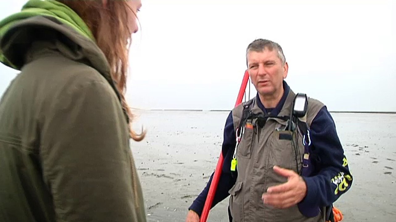 Je moet het wel met een bepaalde passie doen, liefde voor het wad zeg maar - RTV Noord