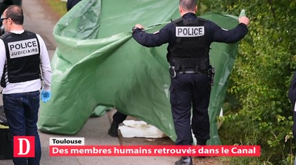 Des membres humains découverts dans le Canal du Midi