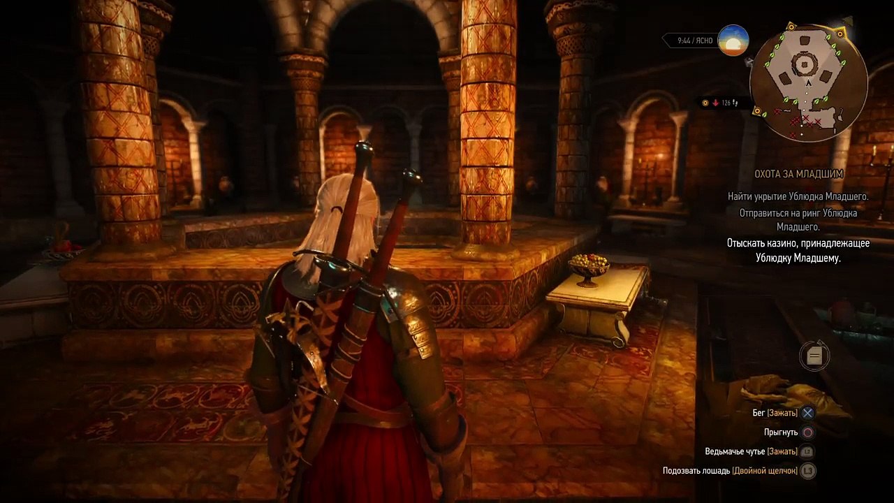 Witcher 3 (13)