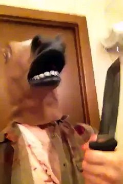 Girl milking a horse (GONE WRONG) PRANK pranks jokes 2016 PRANK COMPILATION