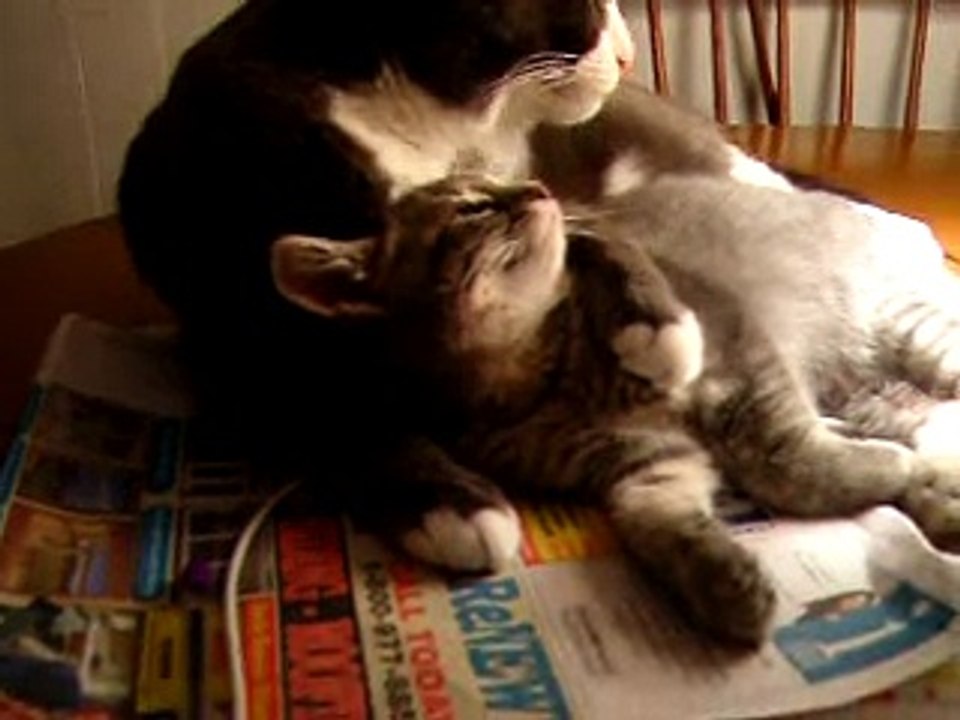 Pepper and Mia