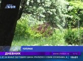 Dnevnik, 25. maj 2016. (RTV Bor)