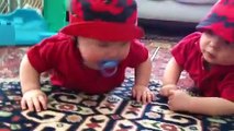 Two Baby Boys Take Turns Stealing a Pacifier and Crying