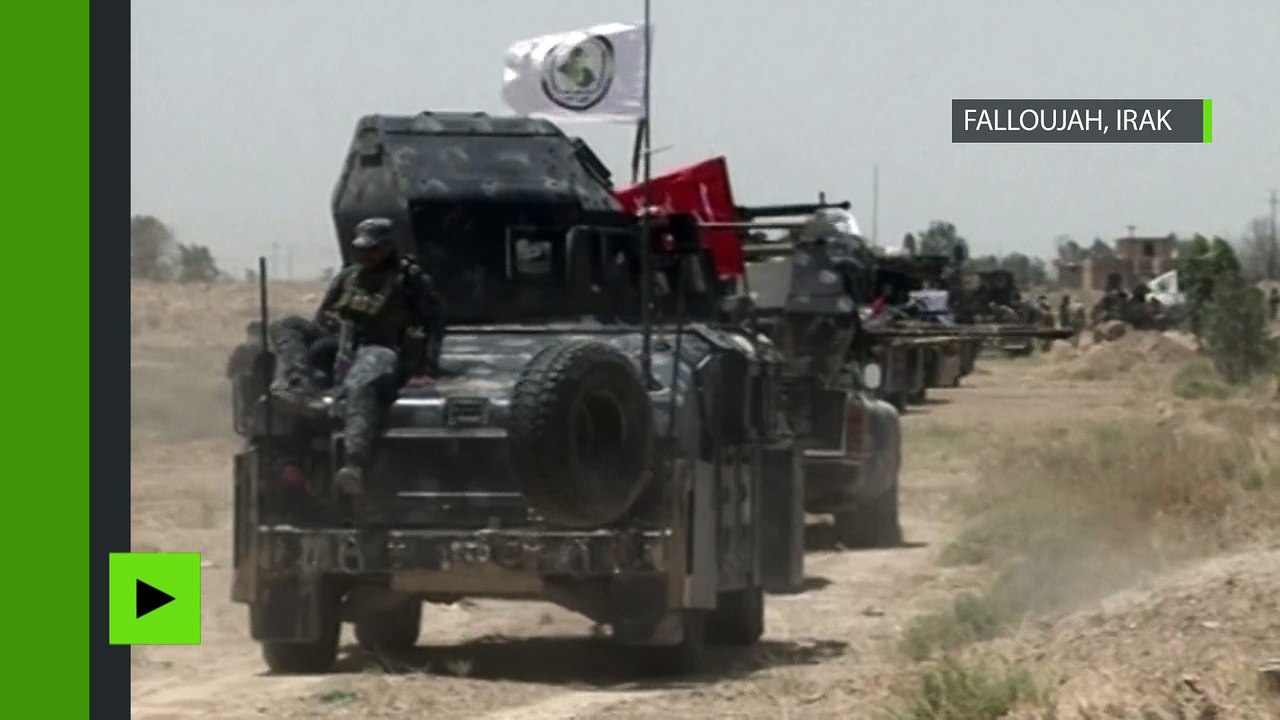 Les soldats irakiens reprennent la ville Falloujah des mains de Daesh