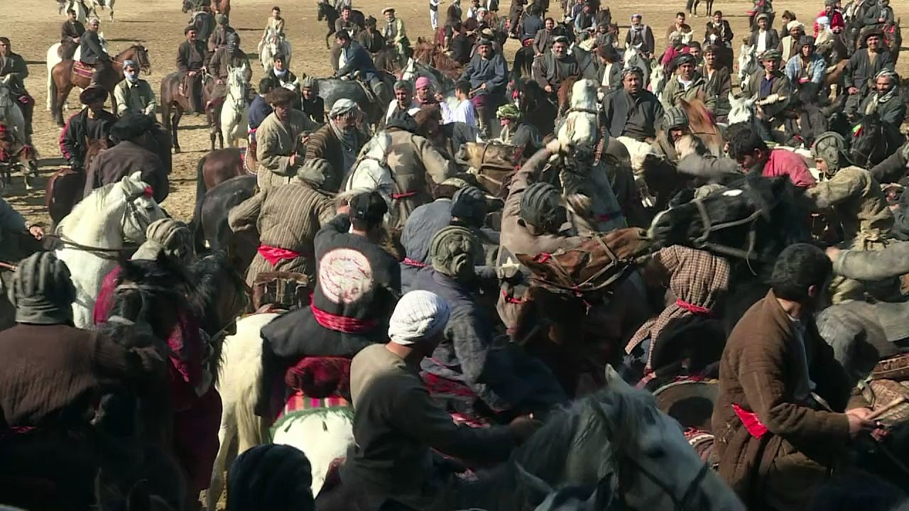 Polospiel mit tierkadaver