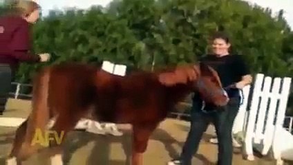 Ata binmek isterken At Kıza bindi