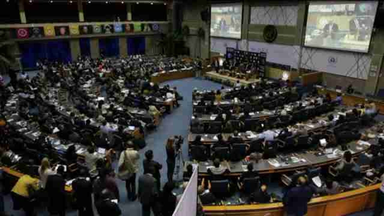 La ONU propone una revisión del "insostenible" sistema productivo alimentario