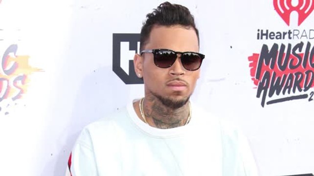 Chris Brown Finally Had a Good Day in Court