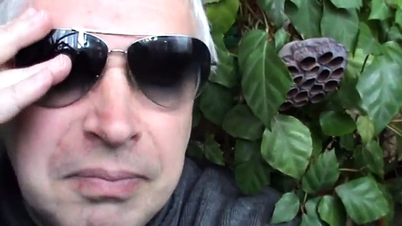 Геннадий Горин — Вы хотели жить в деревне