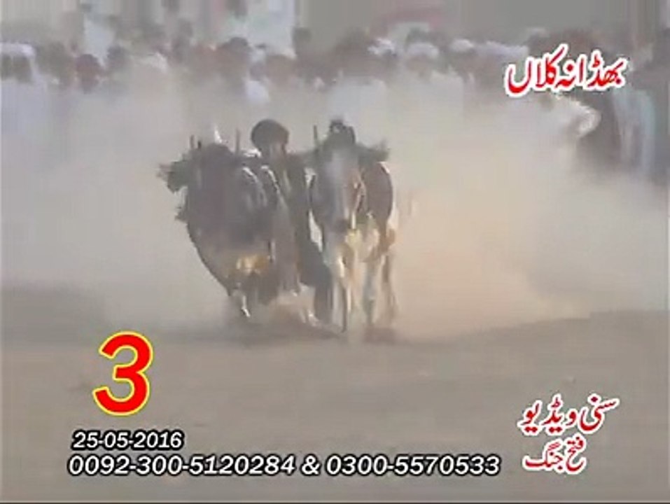 T.A.M.A.S.H.A Bhadana Kilan  (25-05-2016)