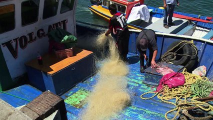 Fishing nets recycled into skateboards in Chile