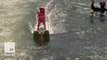 6-month-old water skiing girl breaks record