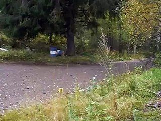 2008 Rallye Mikkeli(Finlandia) 27