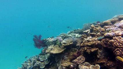 Bonus - 6 mois avec nos invités