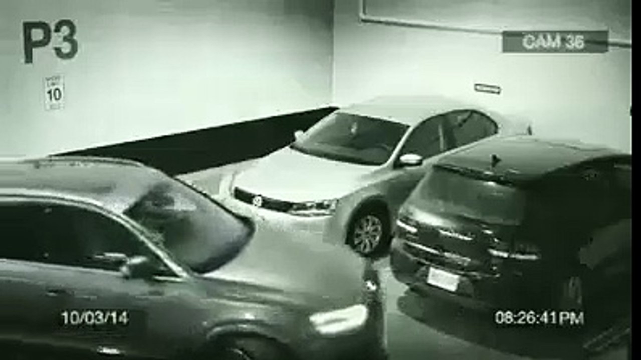 Parking Skill Level 999