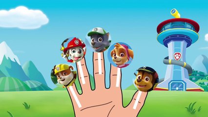 LOLLIPOP FINGER FAMILY PAW PATROL CAKE POP PAW PATROL ICE CREAM NURSERY RHYMES BABY SONG