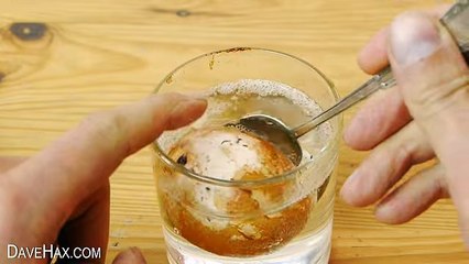 Egg shell science experiment - dissolve in vinegar