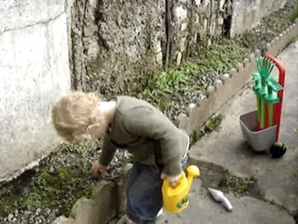 MOV00013