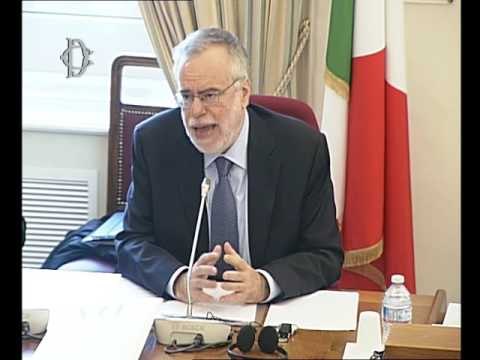 Roma - Audizione Riccardi, Presidente Società Dante Alighieri (25.05.16)