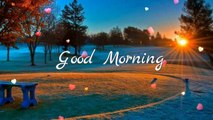 Good Morning Wishes,Good Morning Greetings,Wallpapers,E-card,Good Morning Whatsapp video