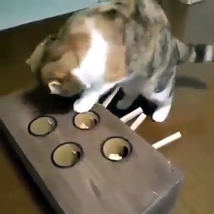 Thú vui của e ạ