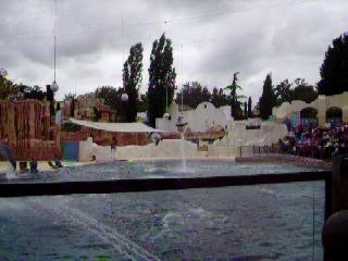 Dauphin d'Astérix
