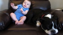 Quand ce bébé lâche un pet, la réaction du chien est à mourir de rire !