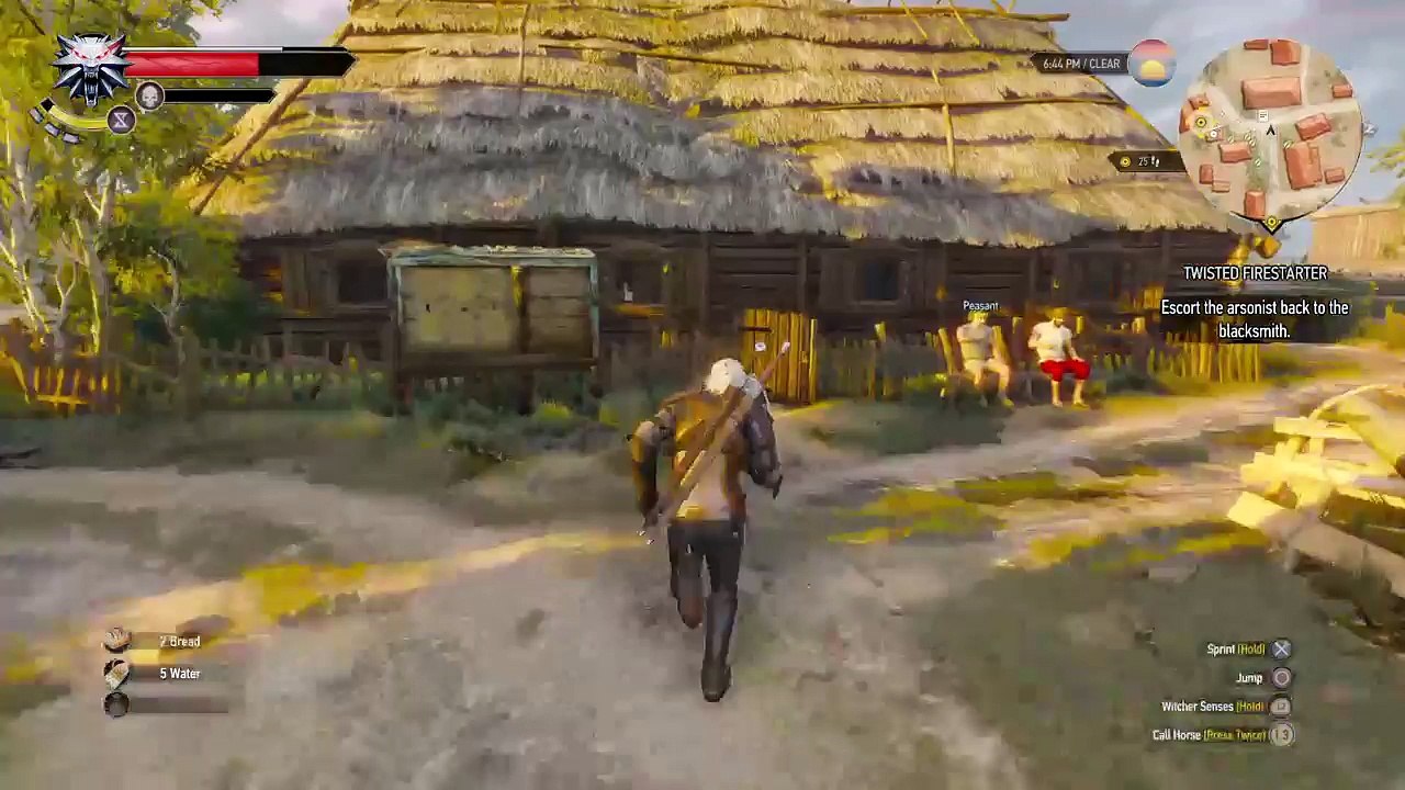 The witcher 3 (122)